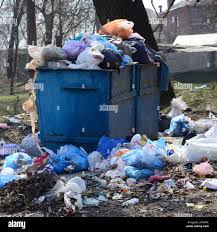 Best Yard Waste Removal  in Independence, IA