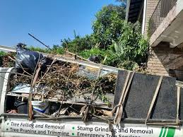 Best Electronics and E-Waste Disposal  in Independence, IA