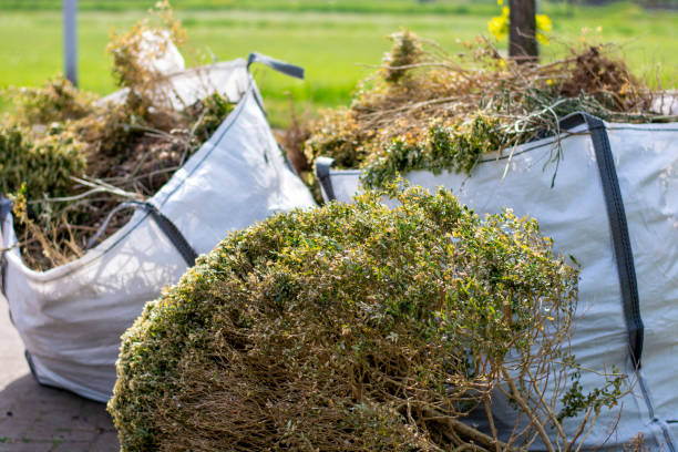 Best Dumpster Rental Services  in Independence, IA