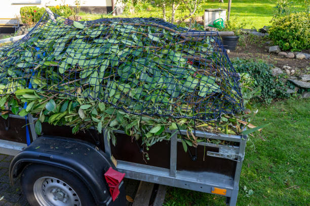 Best Moving and Downsizing Cleanouts  in Independence, IA